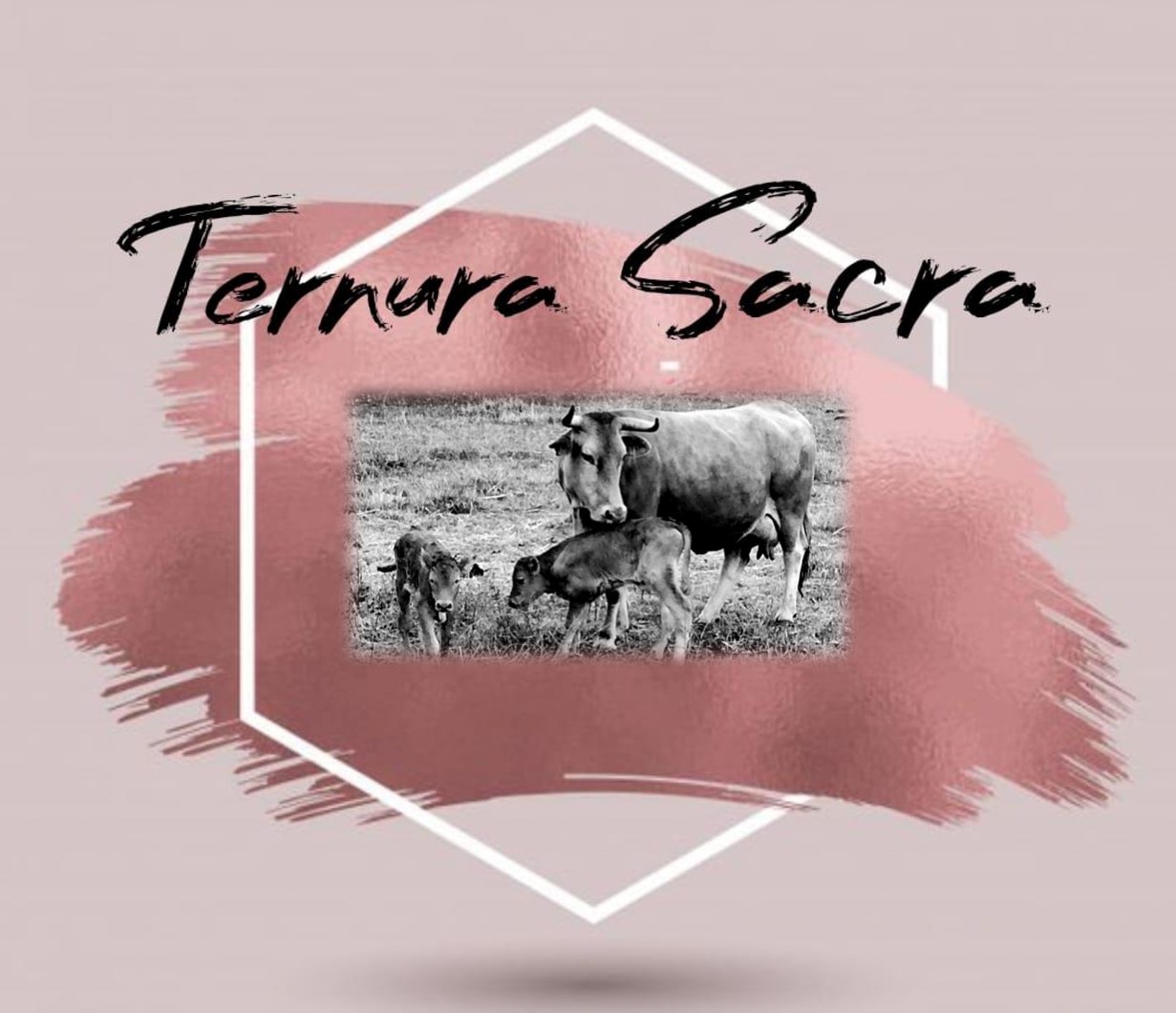 ternurasacra.es